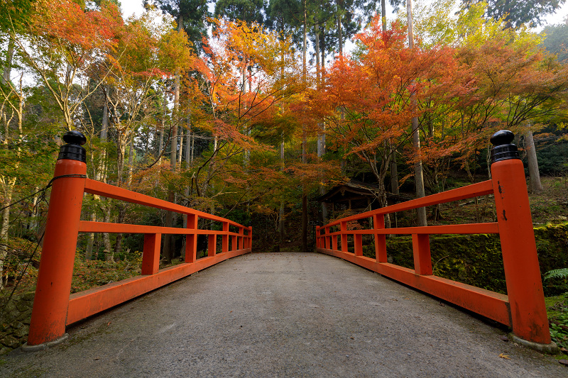 京都の紅葉2017 三千院（金色不動堂～奥の院　編）_f0155048_22444947.jpg