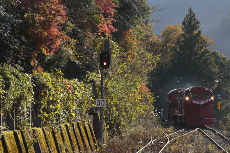 No.48　「播但線ラッセル試運転を追う」　１１月１６日号_d0144549_22173626.jpg