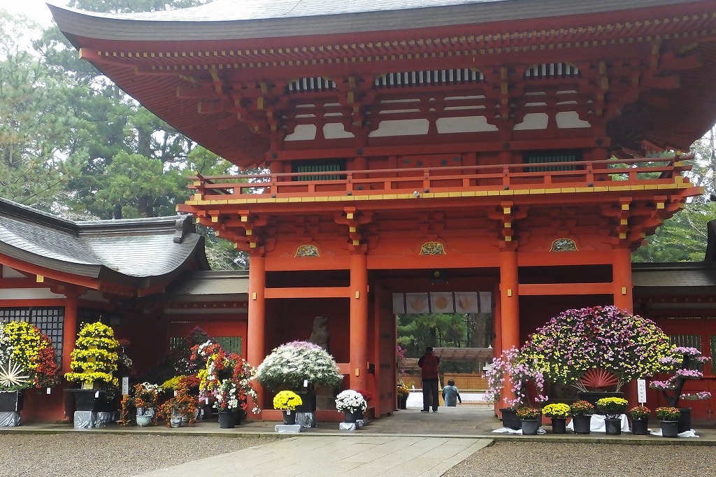 香取神宮の菊花展_b0236251_15352816.jpg