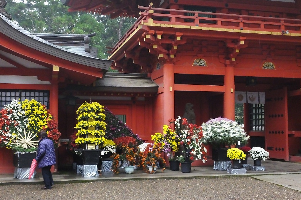 香取神宮の菊花展_b0236251_15360652.jpg