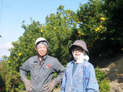 平成29年度の冬至の「柚子風呂」用柚子(ゆず)ご予約承り中!数量限定につき、お急ぎください!_a0254656_17530725.jpg