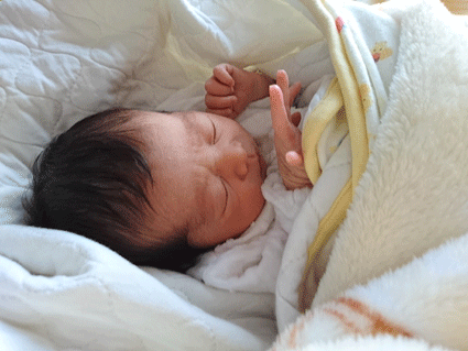 b0129758_15265763.gif