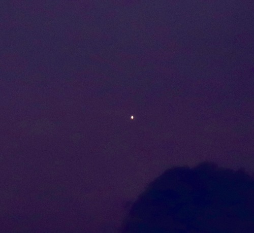 a0248459_14540022.jpg