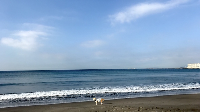 b0274270_14483690.jpg