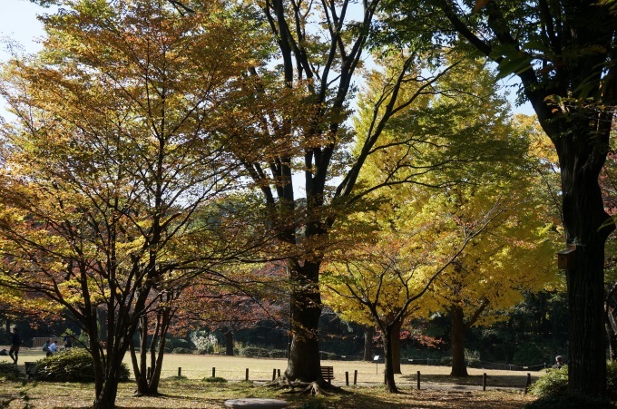 熟男　熟女　みんな集まれ　熟・熟の　箱根ツアー　その3　泉岳寺、靖国神社と江戸城跡_a0195071_22172349.jpg