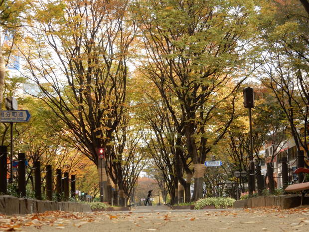 早朝紅葉狩り⑤_e0355177_16050104.jpg