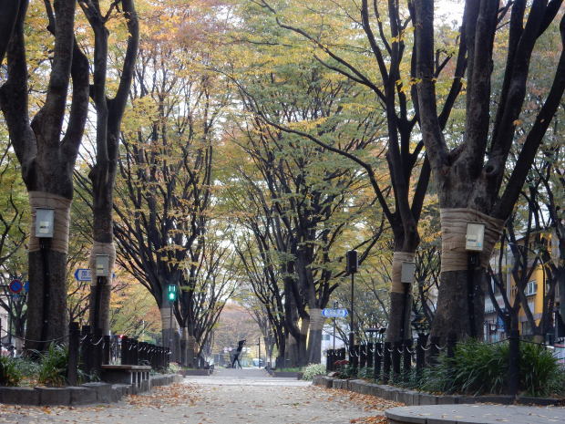 早朝紅葉狩り⑤_e0355177_16055674.jpg