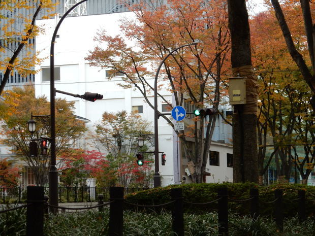 早朝紅葉狩り⑤_e0355177_16083798.jpg