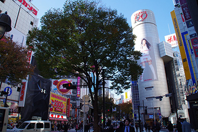 b0056983_16314517.jpg