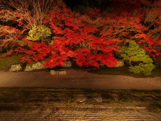 紅葉めぐり2017～天授庵～(11/15)_d0026589_00090839.jpg