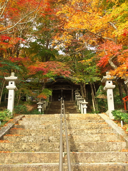 紅葉めぐり2017～西光寺～(11/12)_d0026589_23170691.jpg