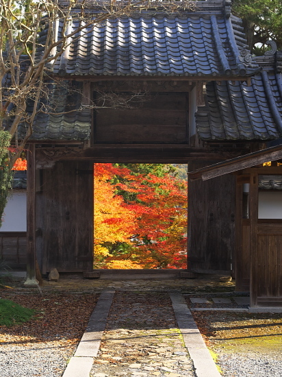 紅葉めぐり2017～龍隠寺～(11/12)_d0026589_23275386.jpg