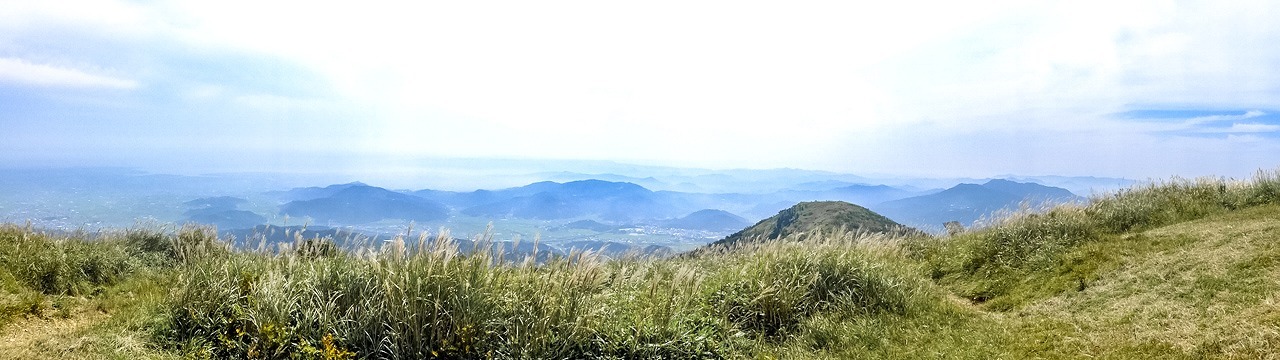 e0176993_10343054.jpg