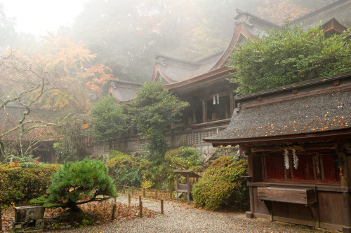 霧中の吉野⑤　～吉野水分神社_e0366896_23360496.jpg