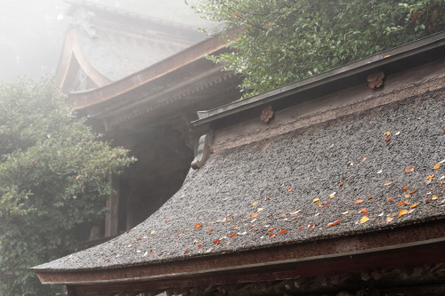 霧中の吉野⑤　～吉野水分神社_e0366896_23362485.jpg