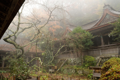 霧中の吉野⑤　～吉野水分神社_e0366896_23362946.jpg