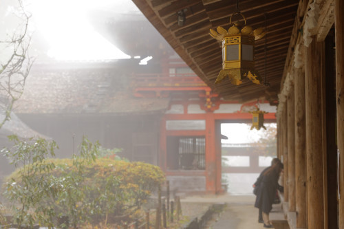 霧中の吉野⑤　～吉野水分神社_e0366896_23364075.jpg