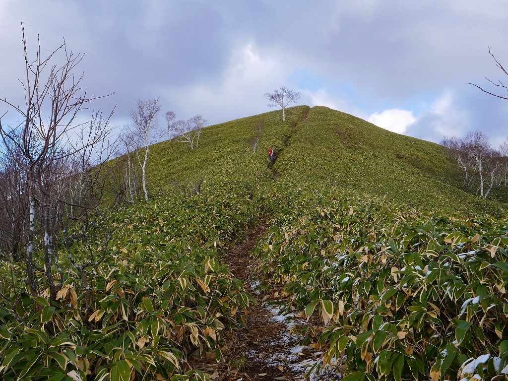 イチャンコッペ山と幌平山、2017.11.16_f0138096_18212789.jpg