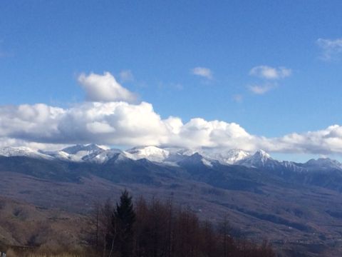 c0090198_17291542.jpg