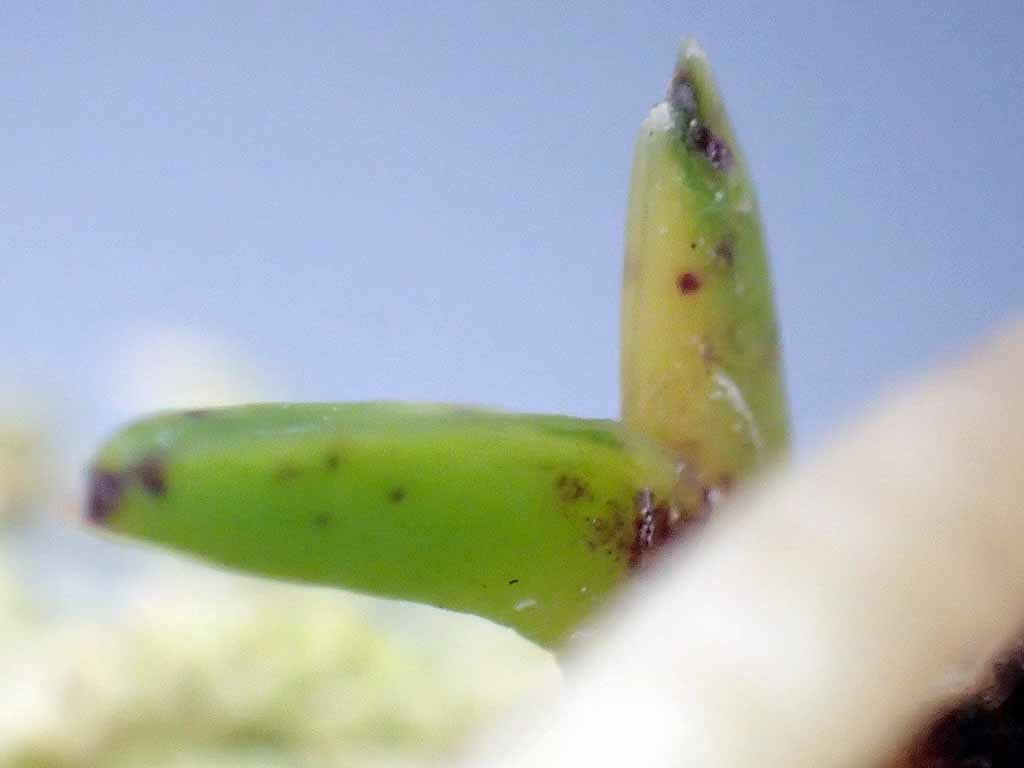 e0363198_12535807.jpg