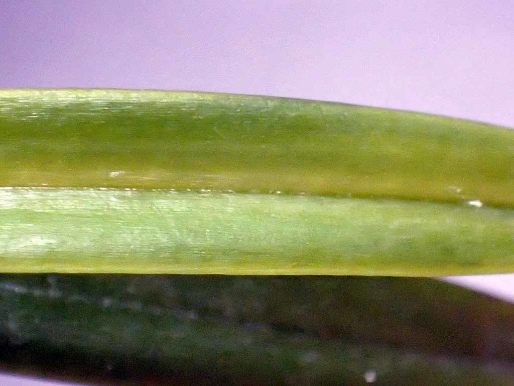 e0363198_12542168.jpg