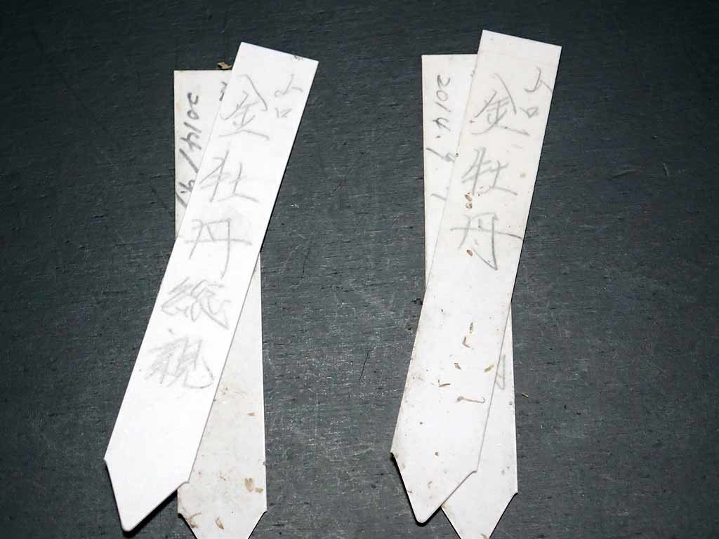 e0363198_12572578.jpg
