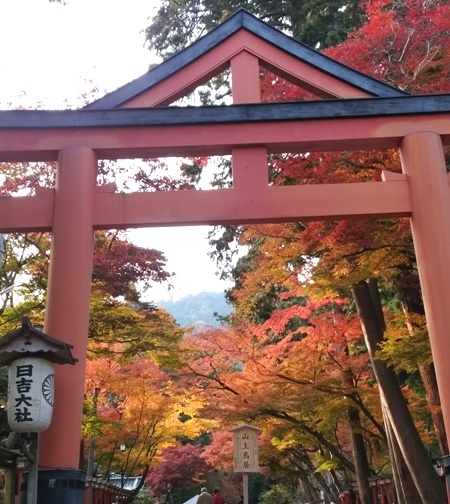 a0236300_20003879.jpg