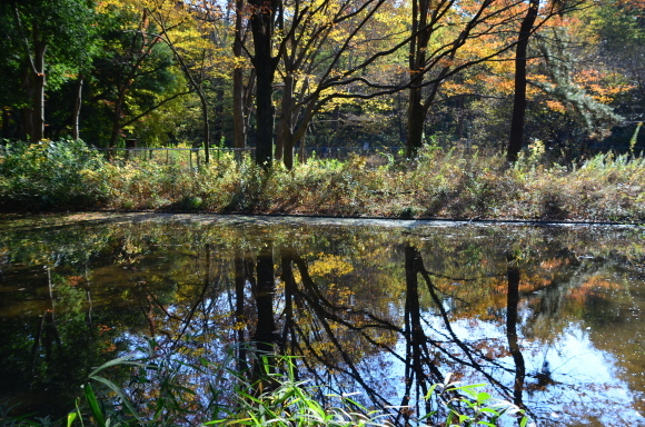 a0288500_19524009.jpg
