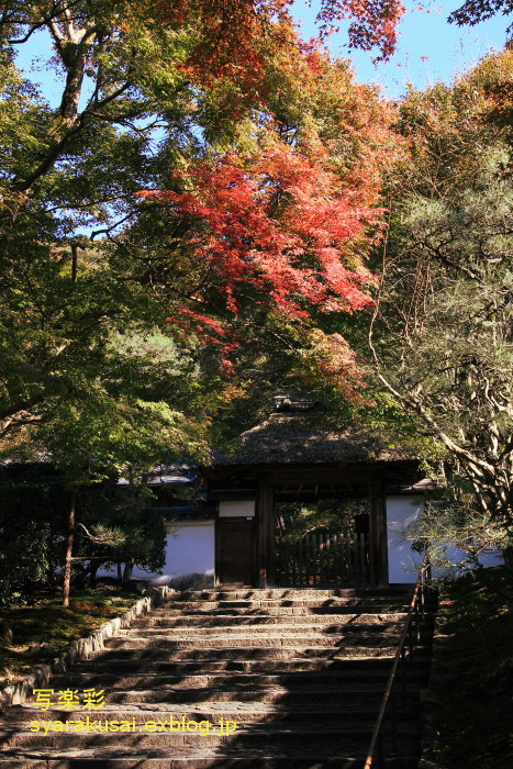 哲学の道から安楽寺_b0191505_21474485.jpg