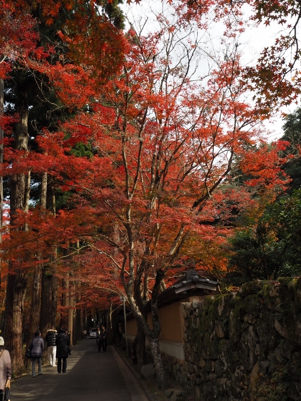 e0350905_20120105.jpg