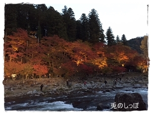 c0190707_21531166.jpeg