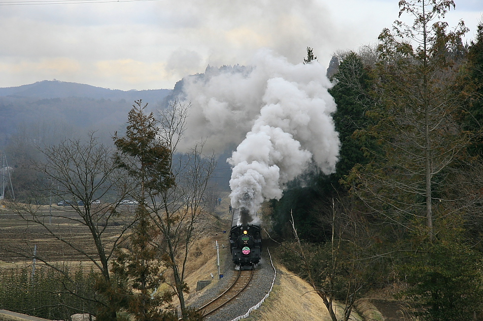 白煙膨らむ~ - 真岡鉄道 -_b0190710_01105261.jpg