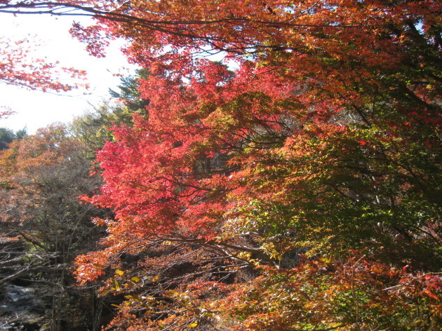 b0183111_22010177.jpg
