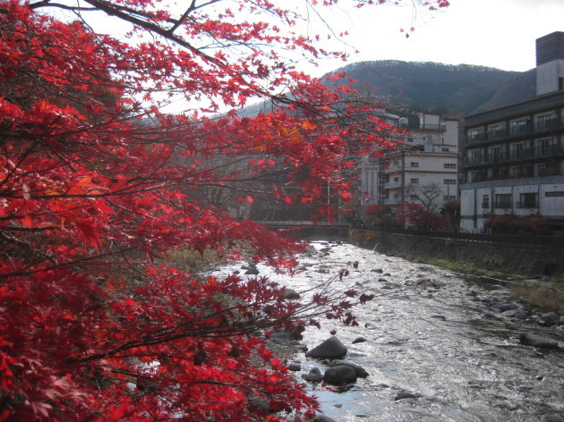 b0183111_23132344.jpg