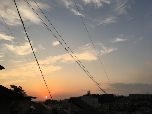 f0369014_16521093.jpg