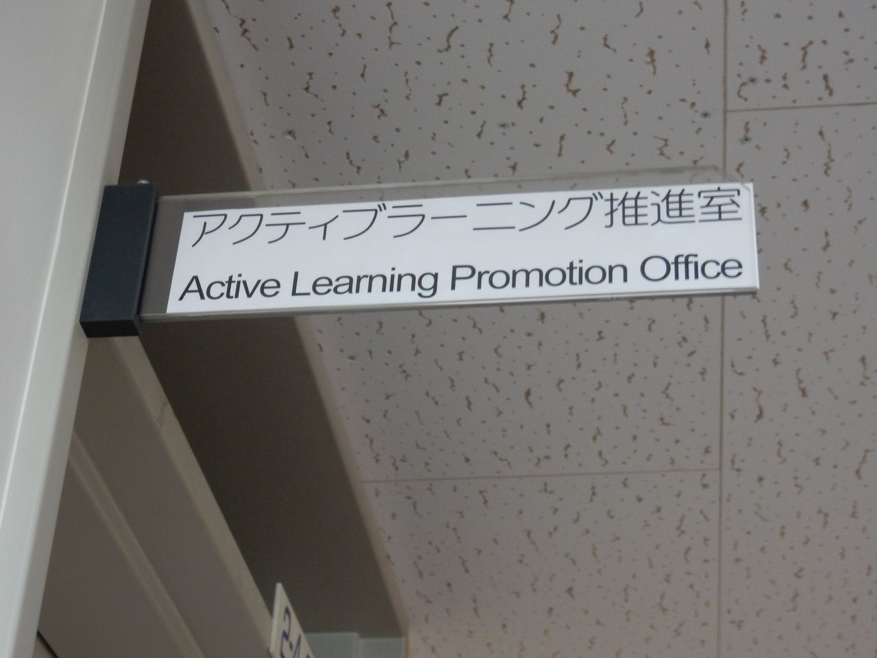 イチョウに葉はなく_c0025115_22452425.jpg