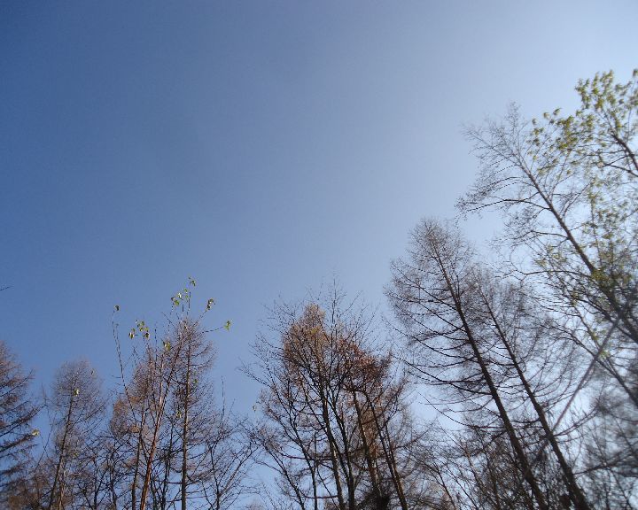 b0248920_05494223.jpg