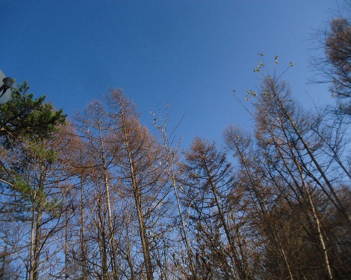 b0248920_05501065.jpg