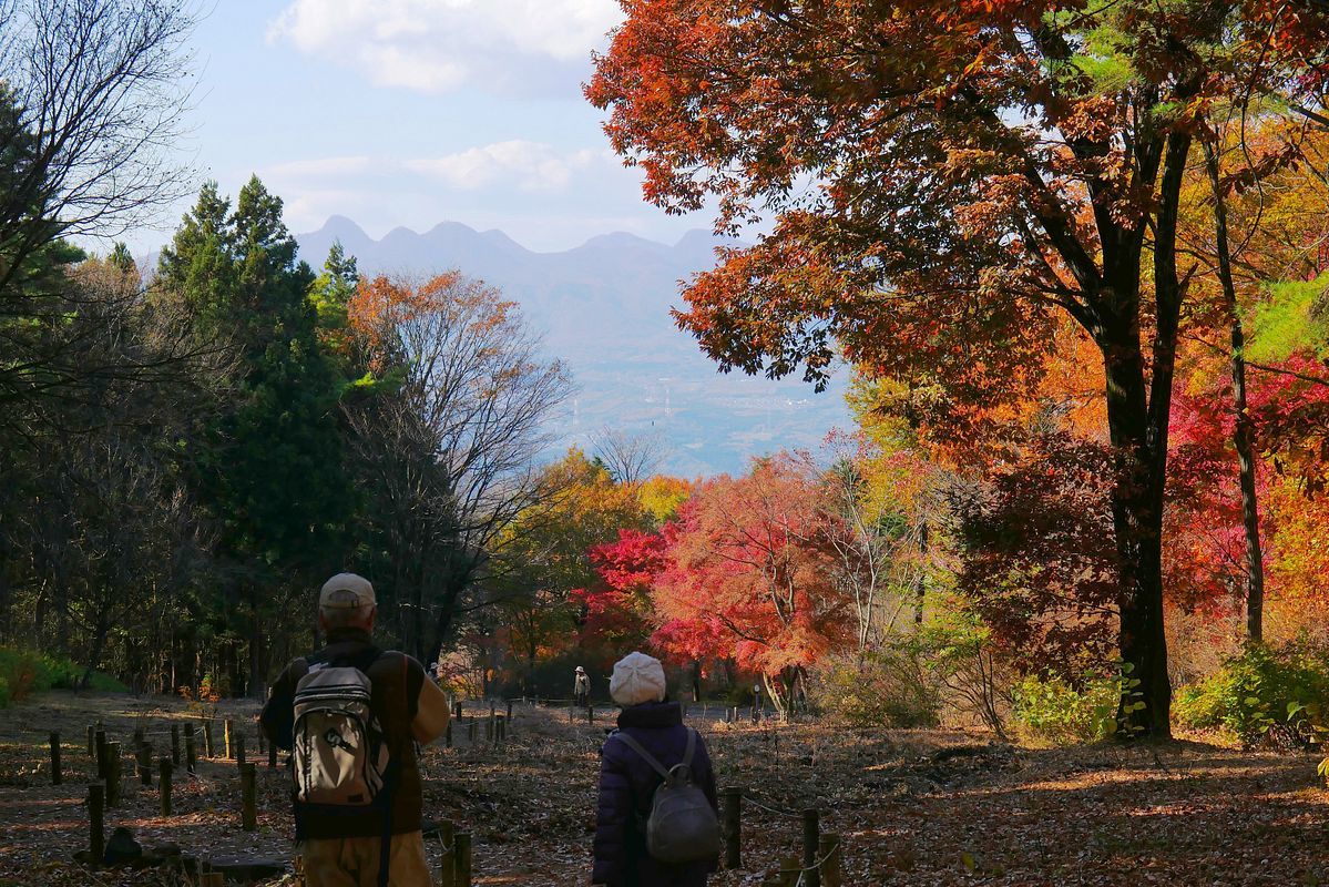 晩秋の赤城自然園点描_a0031821_10534823.jpg