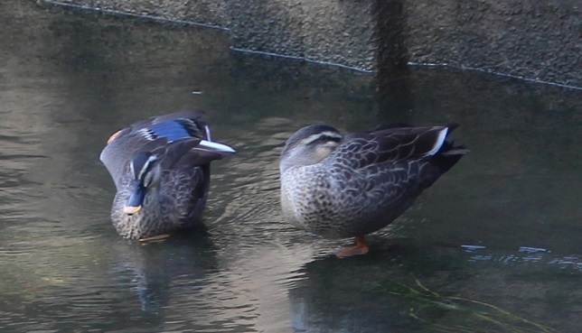 c0280322_23453673.jpg