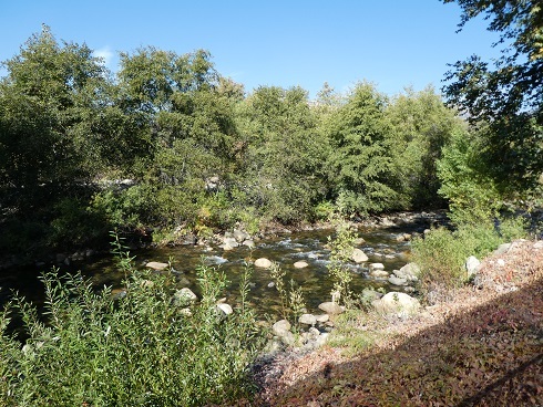 b0368324_04393187.jpg