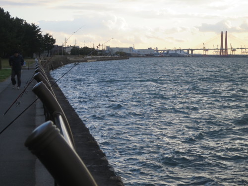 e0198329_11331529.jpg