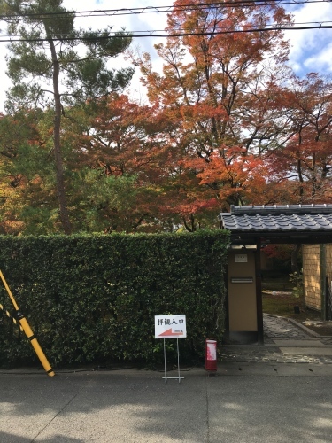谷穹さんの蹲に紅葉_a0197730_14335088.jpg