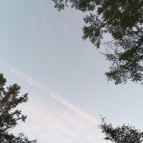 a0291132_00141241.jpeg
