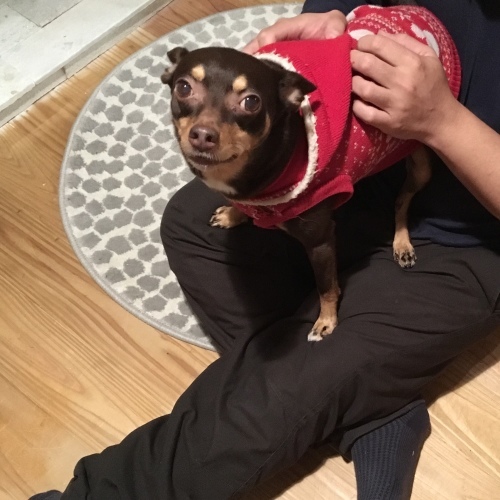 a0291132_00151376.jpeg
