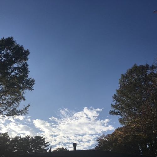 a0291132_00175111.jpeg