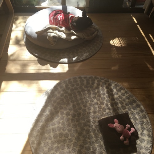 a0291132_00195918.jpeg