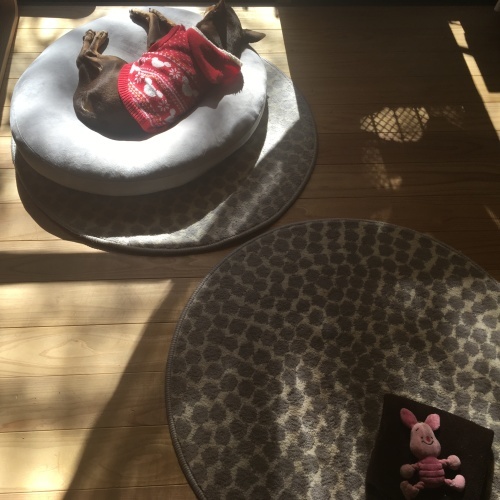 a0291132_00204019.jpeg