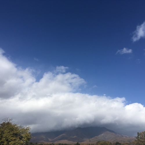 a0291132_00240826.jpeg