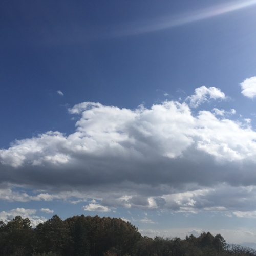 a0291132_00243278.jpeg